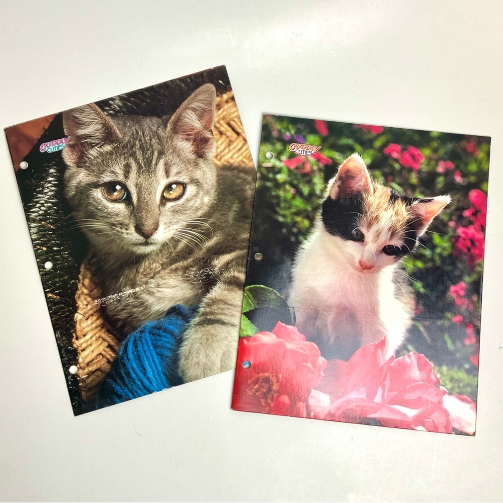 Vintage Folder Kitten Bundle of 2 80s School Supply 1987 - Picture 3 of 17